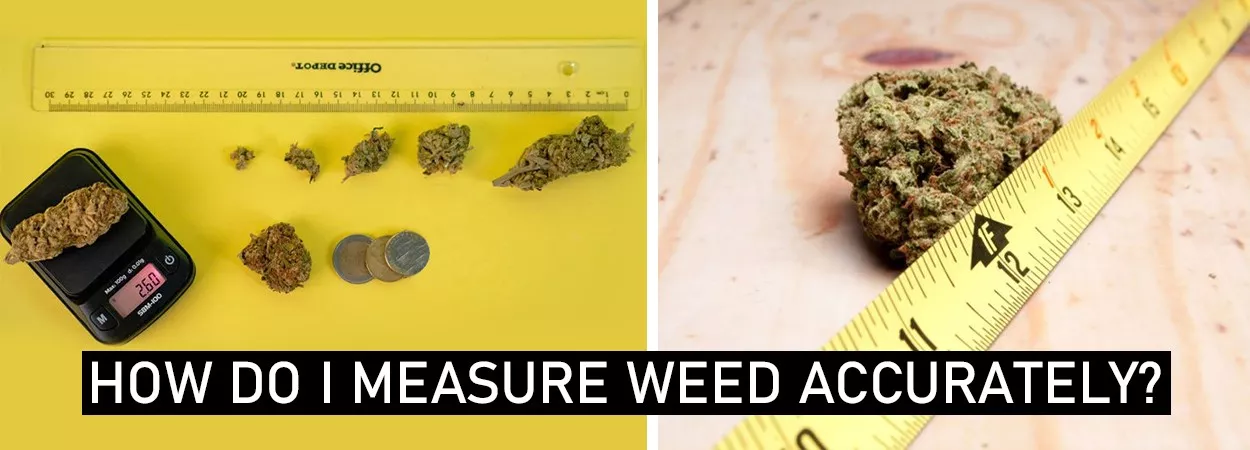 How-Do-I-Measure-Weed-Accurately